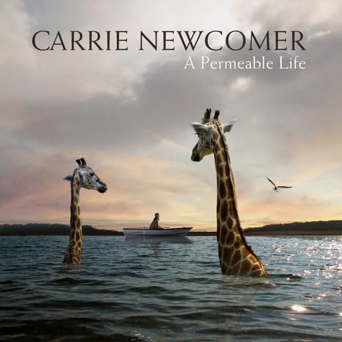 Album cover art for A Permeable Life