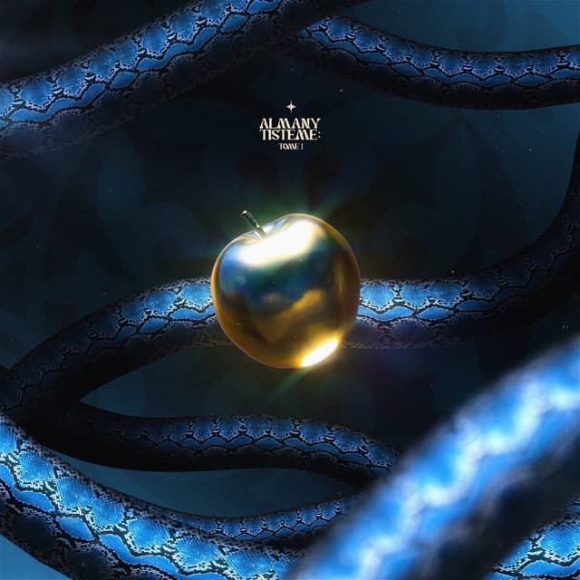 Album cover art for Almany Tisteme: Tome Ⅰ