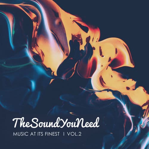 Album cover art for TheSoundYouNeed, Vol. 2