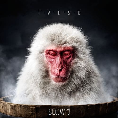 Album cover art for The Art of Slowing Down