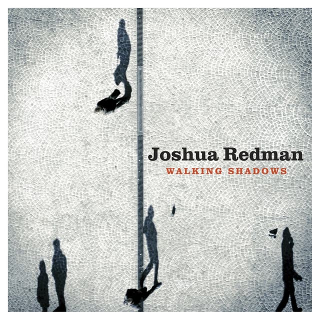 Album cover art for Walking Shadows