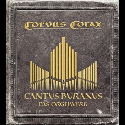 Album cover art for Cantus Buranus - Das Orgelwerk