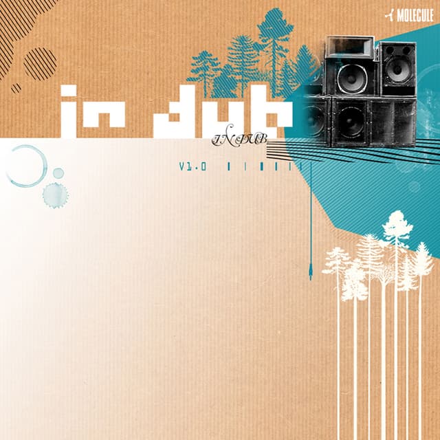 Album cover art for In Dub V1.0