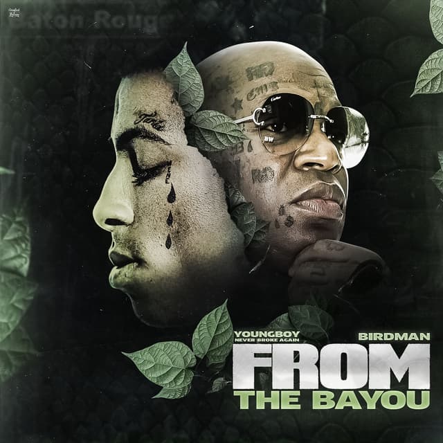 Album cover art for From the Bayou