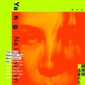 Album cover art for The More Beautiful, The More Invisible