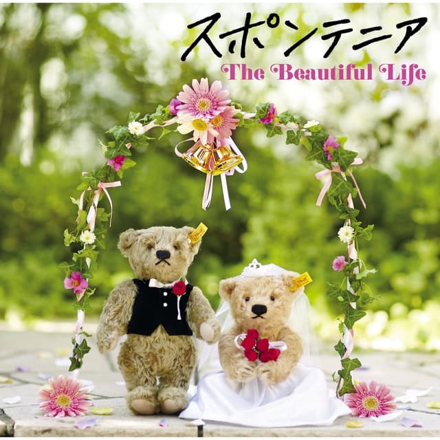 Album cover art for The Beautiful Life