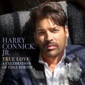 Album cover art for True Love: A Celebration of Cole Porter