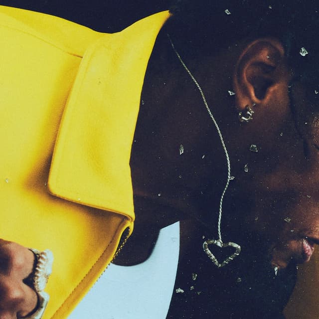 Album cover art for Paradise Now & Forever