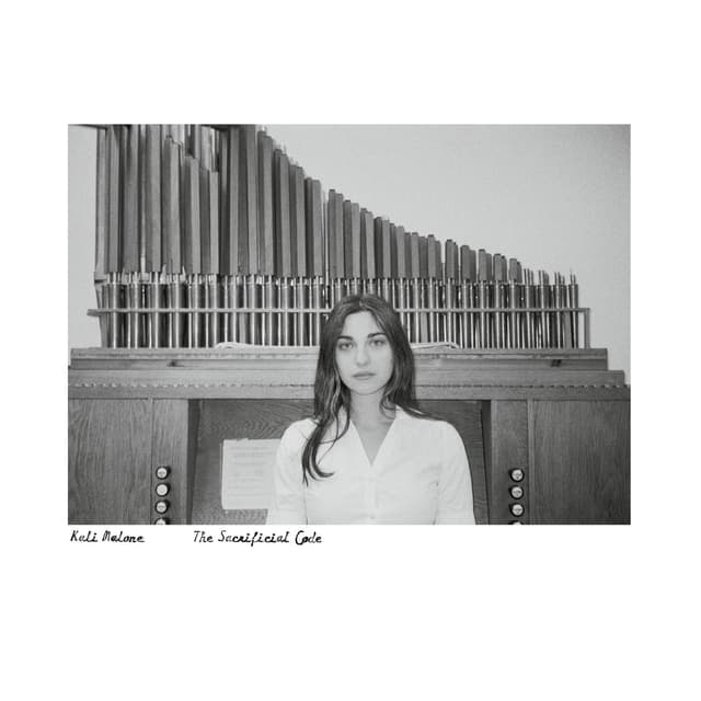 Album cover art for The Sacrificial Code