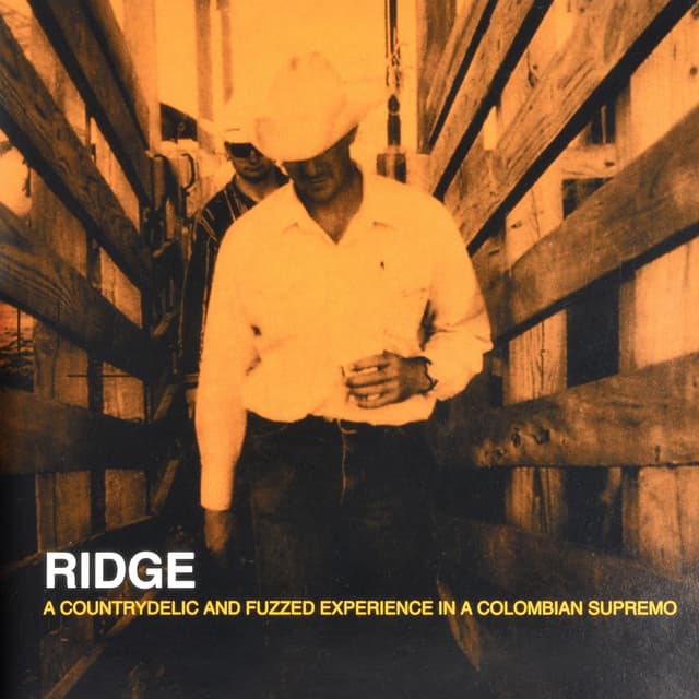 Album cover art for A Countrydelic and Fuzzed Experience in a Colombian Supremo