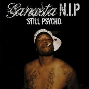 Album cover art for Still Psycho