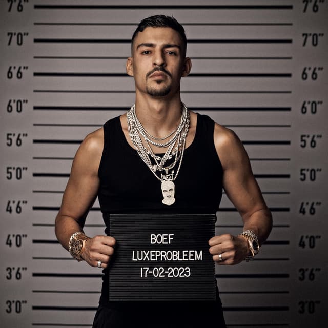 Album cover art for Luxeprobleem