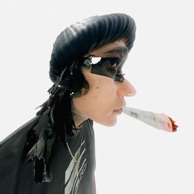 Album cover art for Stoner