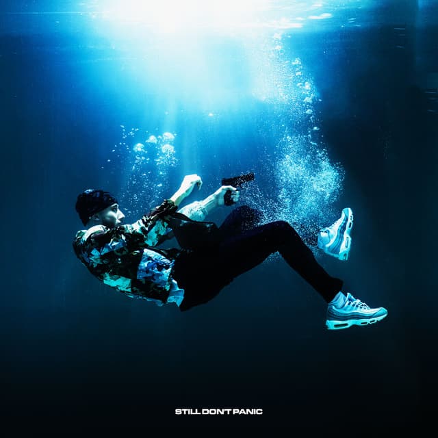 Album cover art for Still don't panic