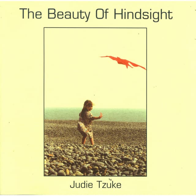 Album cover art for The Beauty Of Hindsight