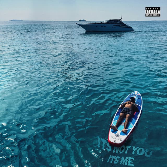 Album cover art for IT'S NOT YOU IT'S ME