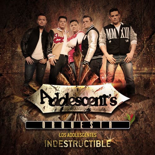 Album cover art for Indestructible
