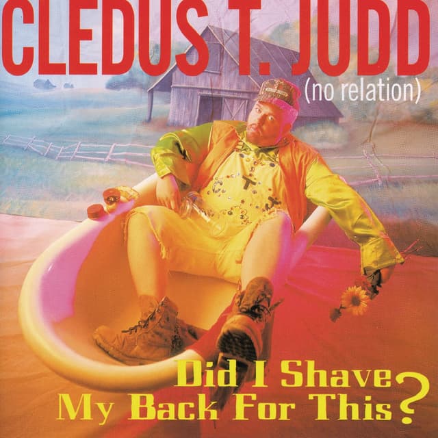Album cover art for Did I Shave My Back For This?