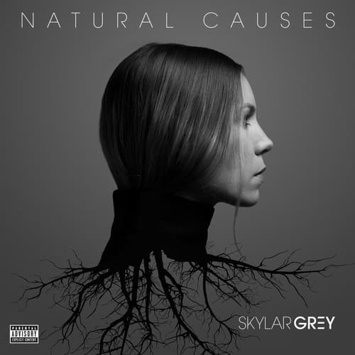 Album cover art for Natural Causes