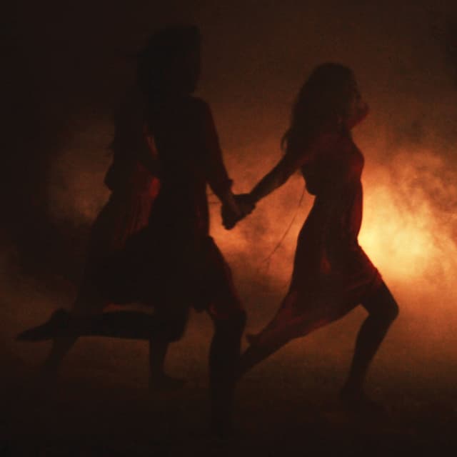 Album cover art for The Orchid Days